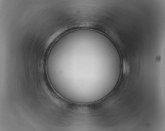 X0000115430483200911181504