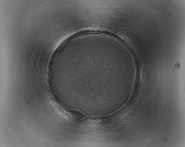 X0000115430484200911181504