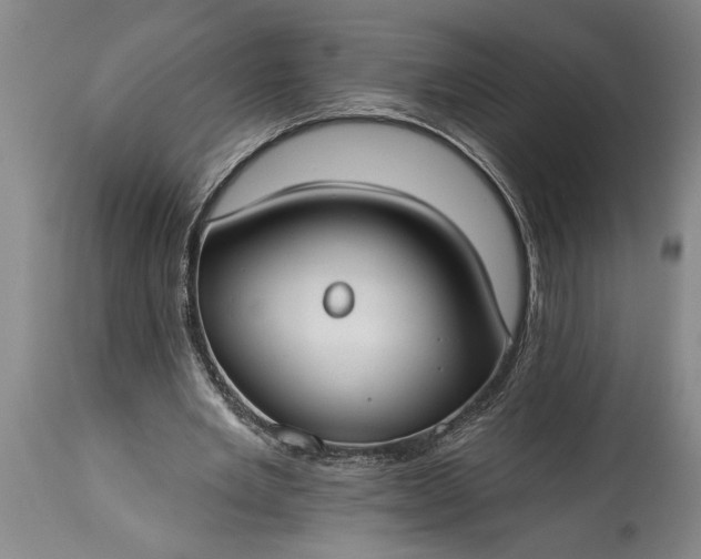 X0000115430485200911181504