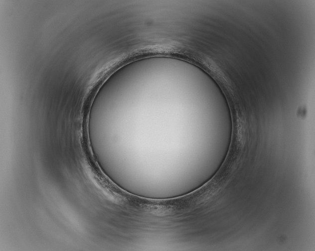 X0000115430486200911181504