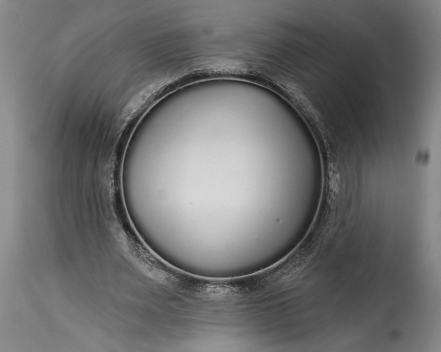 X0000115430487200911181504