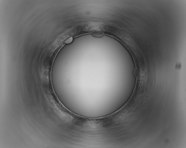 X0000115430489200911181504