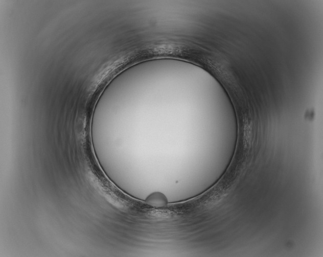 X0000115430490200911181504