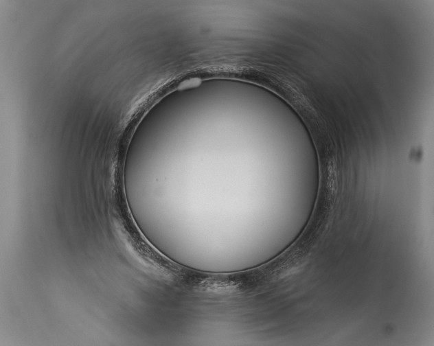 X0000115430491200911181504