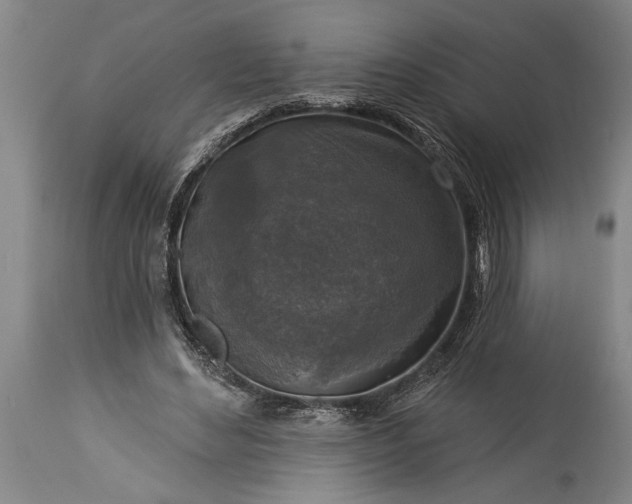 X0000115430492200911181504