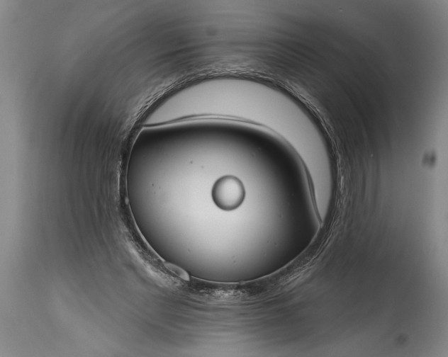 X0000115430493200911181504