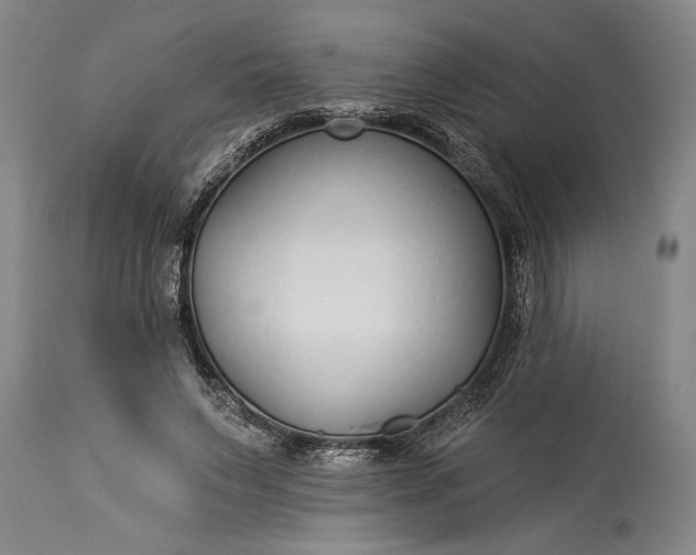 X0000115430495200911181504