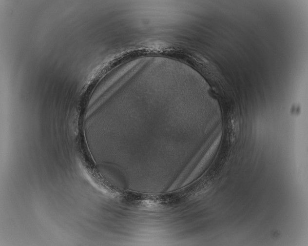 X0000115430496200911181504