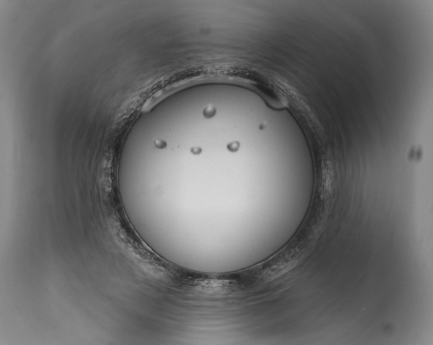 X0000115430497200911181504