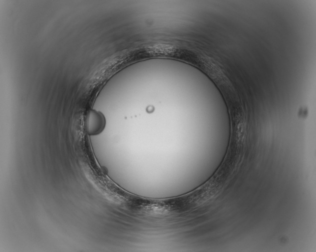 X0000115430498200911181504