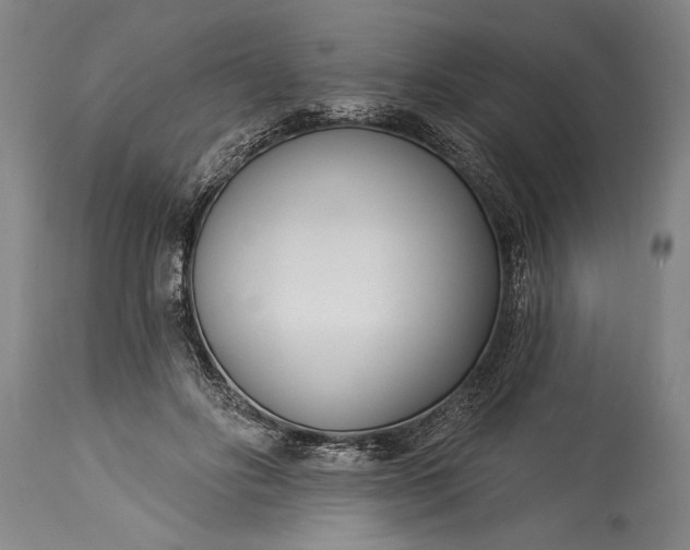 X0000115430502200911181504