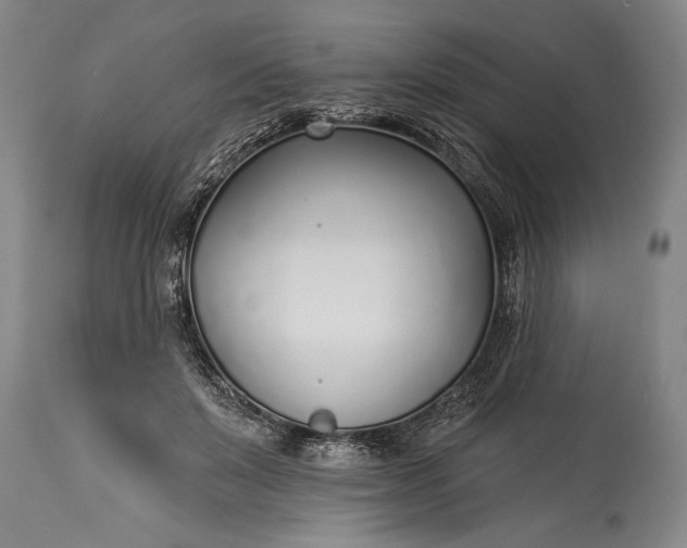 X0000115430503200911181504