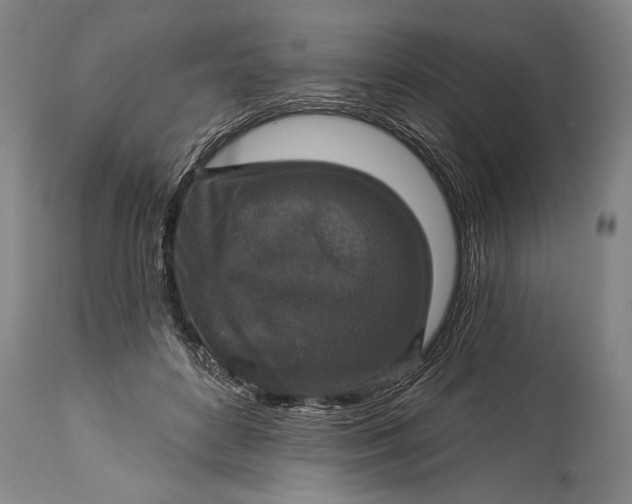 X0000115430504200911181504