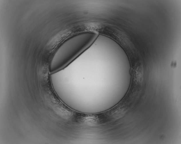 X0000115430505200911181504