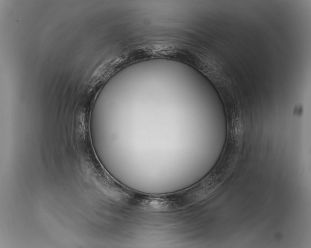 X0000115430506200911181504