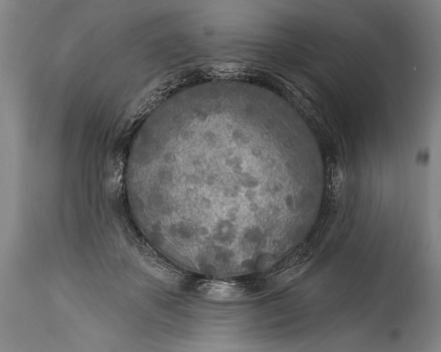 X0000115430507200911181504