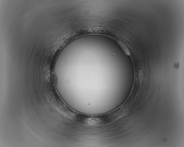 X0000115430508200911181504