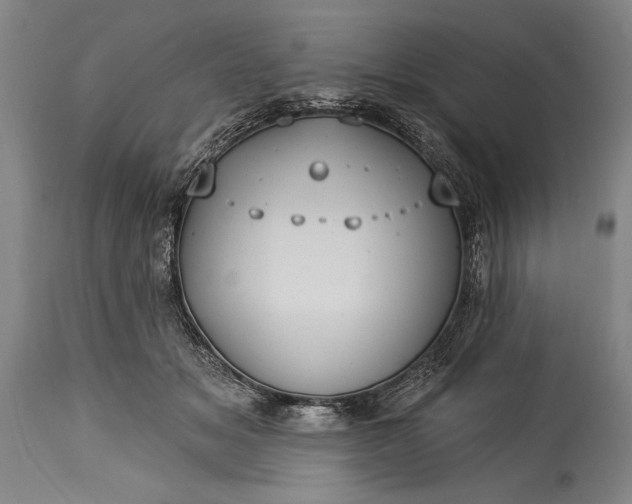 X0000115430509200911181504