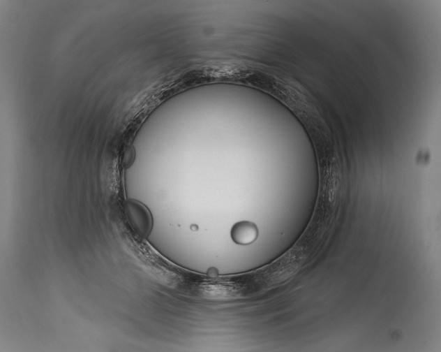 X0000115430510200911181504