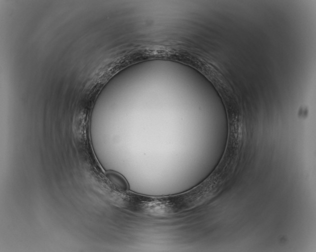 X0000115430511200911181504