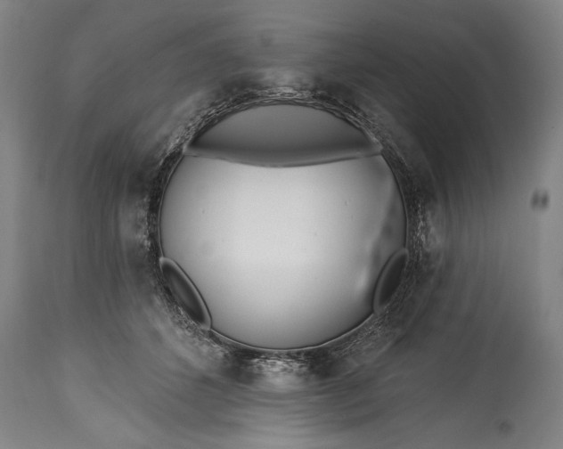 X0000115430512200911181504