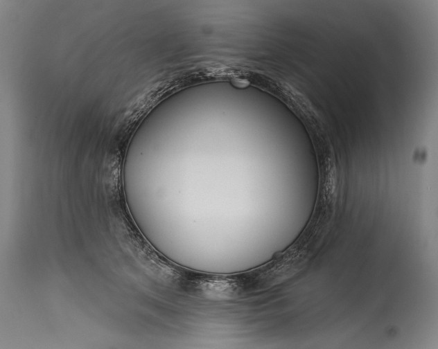 X0000115430513200911181504