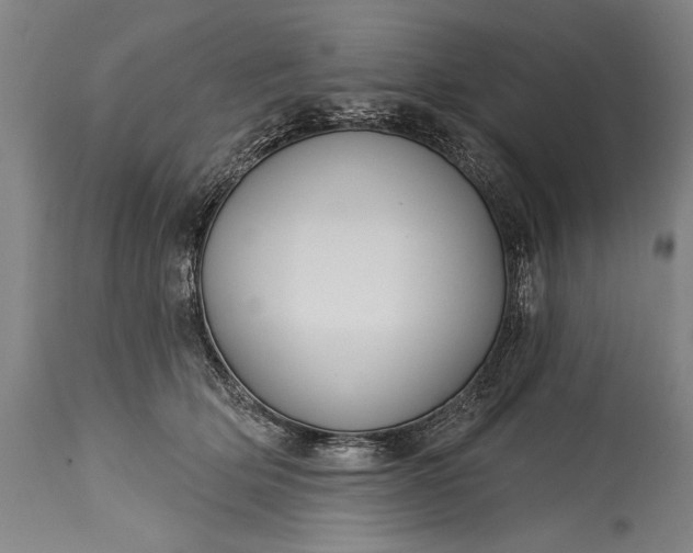 X0000115430514200911181504