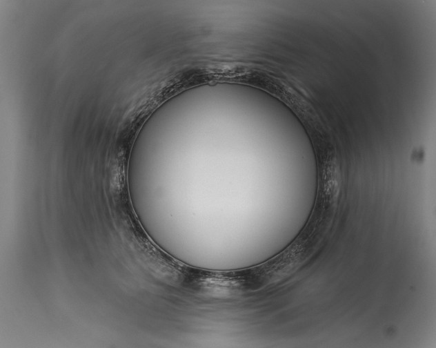 X0000115430515200911181504