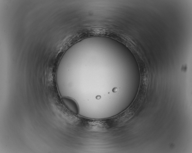 X0000115430516200911181504