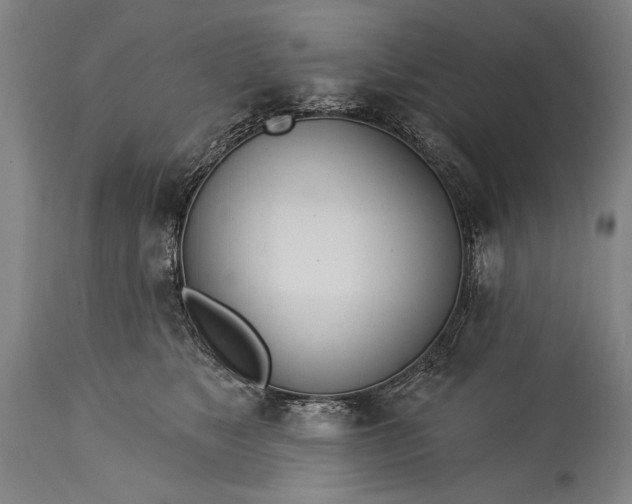 X0000115430517200911181504