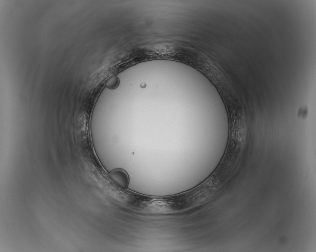 X0000115430518200911181504