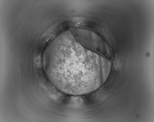 X0000115430520200911181504