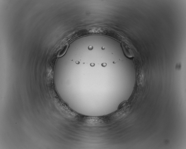 X0000115430521200911181504