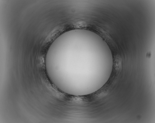 X0000115430523200911181504