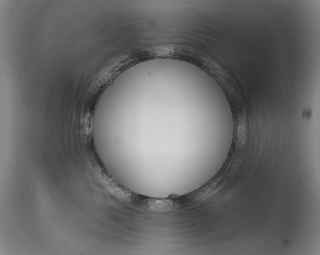 X0000115430525200911181504