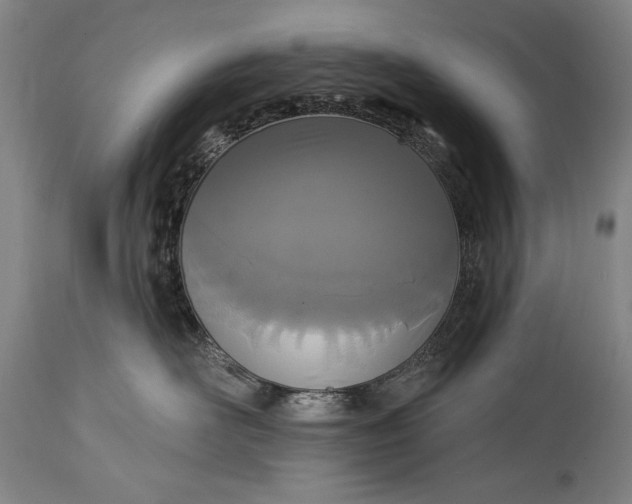 X0000115430526200911181504