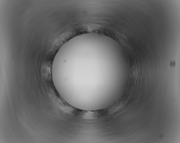 X0000115430527200911181504