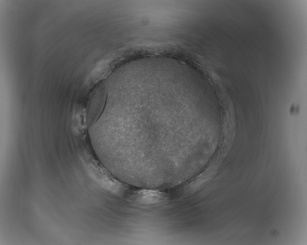 X0000115430528200911181504