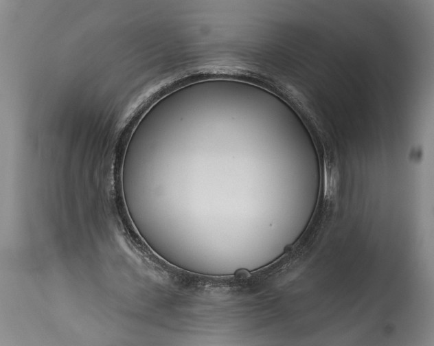 X0000115430531200911181503