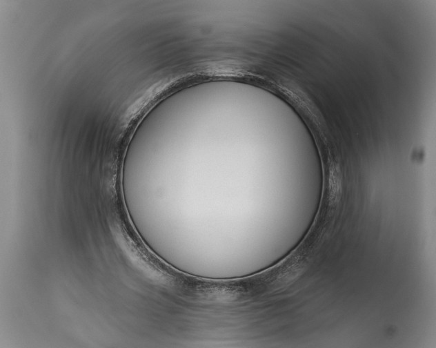 X0000115430533200911181503