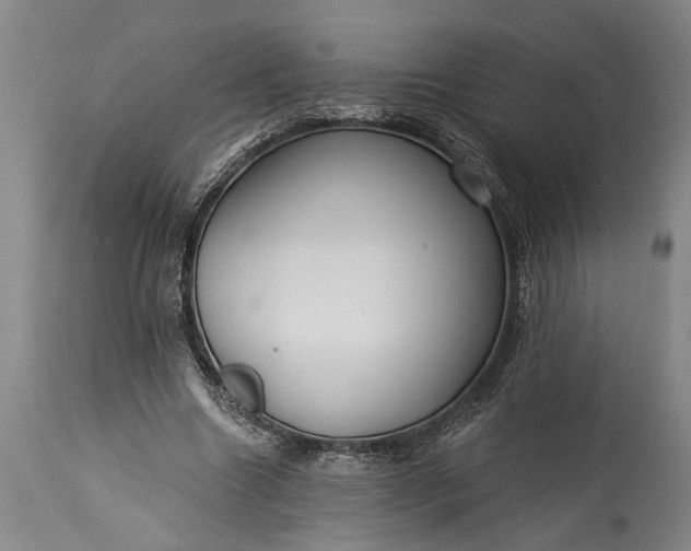 X0000115430538200911181503