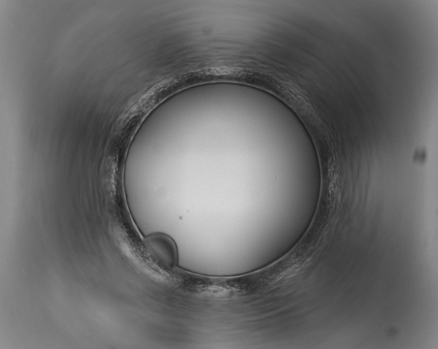 X0000115430542200911181503