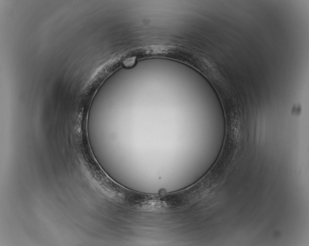 X0000115430543200911181503