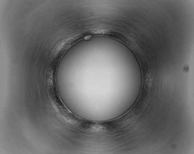 X0000115430547200911181503