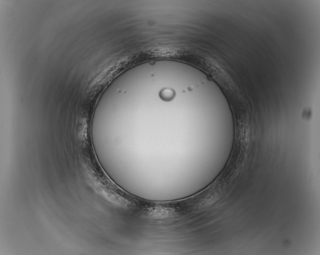 X0000115430549200911181503