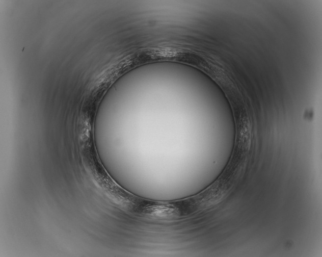 X0000115430555200911181503