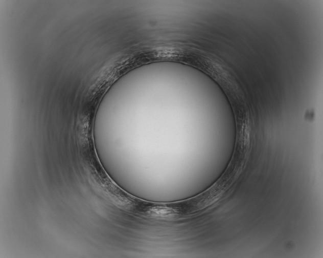 X0000115430557200911181503