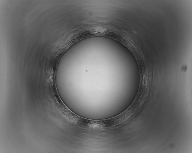 X0000115430561200911181503