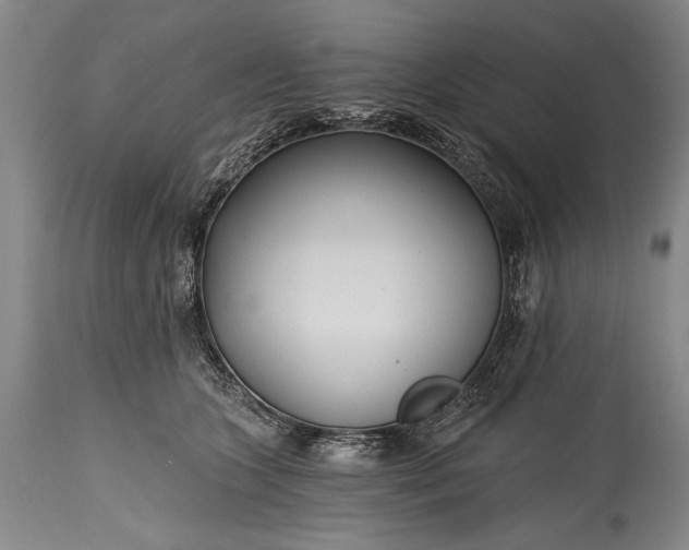 X0000115430563200911181503