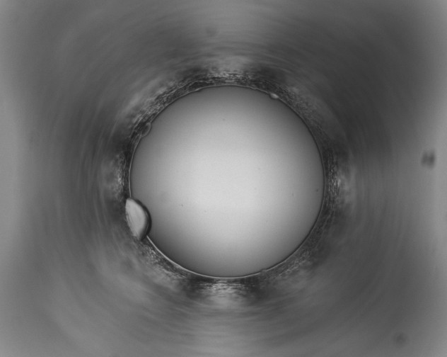 X0000115430566200911181503